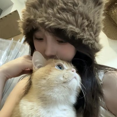 我是海鸥